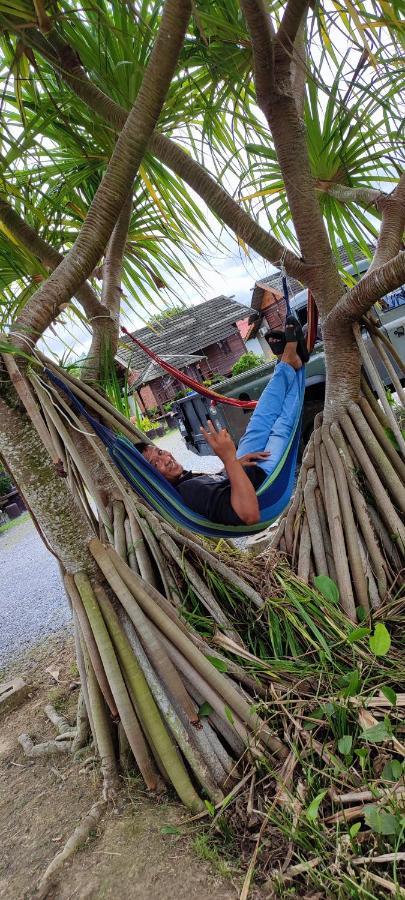 Homestay Tamteh