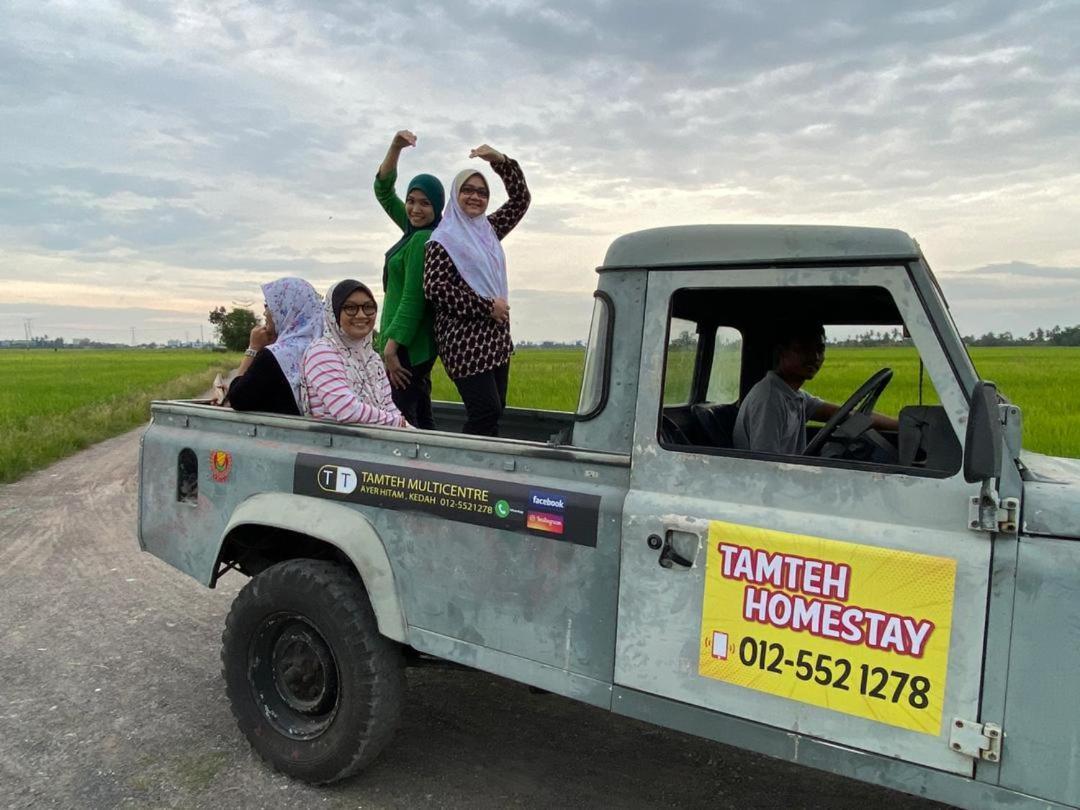 Homestay Tamteh